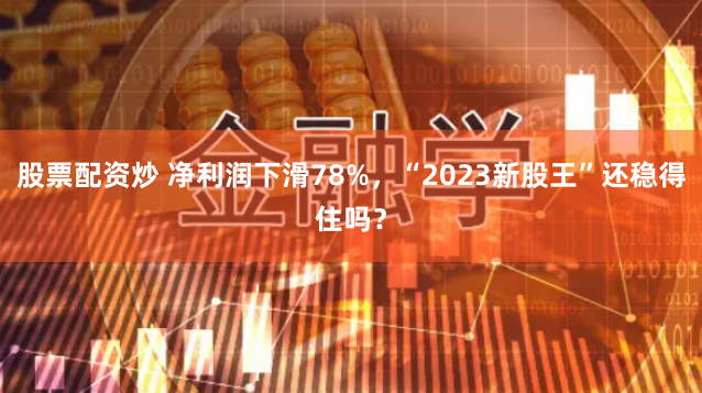 股票配资炒 净利润下滑78%，“2023新股王”还稳得住吗？