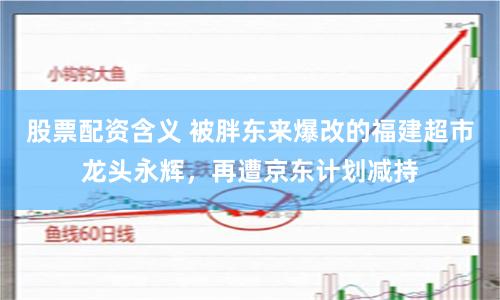 股票配资含义 被胖东来爆改的福建超市龙头永辉，再遭京东计划减持