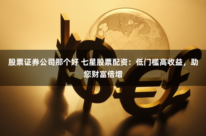 股票证券公司那个好 七星股票配资：低门槛高收益，助您财富倍增