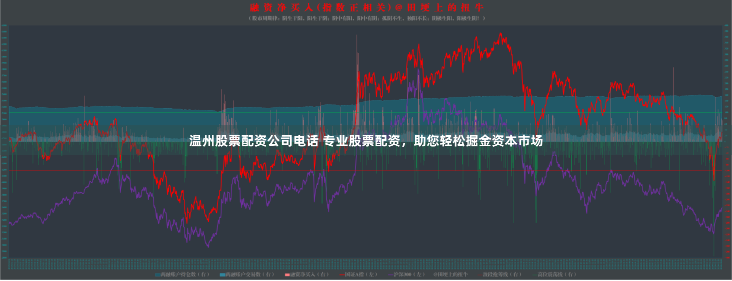 温州股票配资公司电话 专业股票配资,助您轻松掘金资本市场