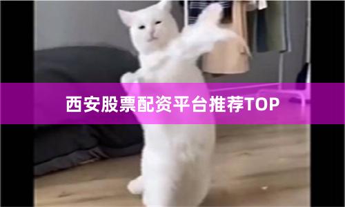 西安股票配资平台推荐TOP