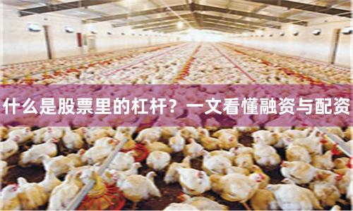 什么是股票里的杠杆？一文看懂融资与配资